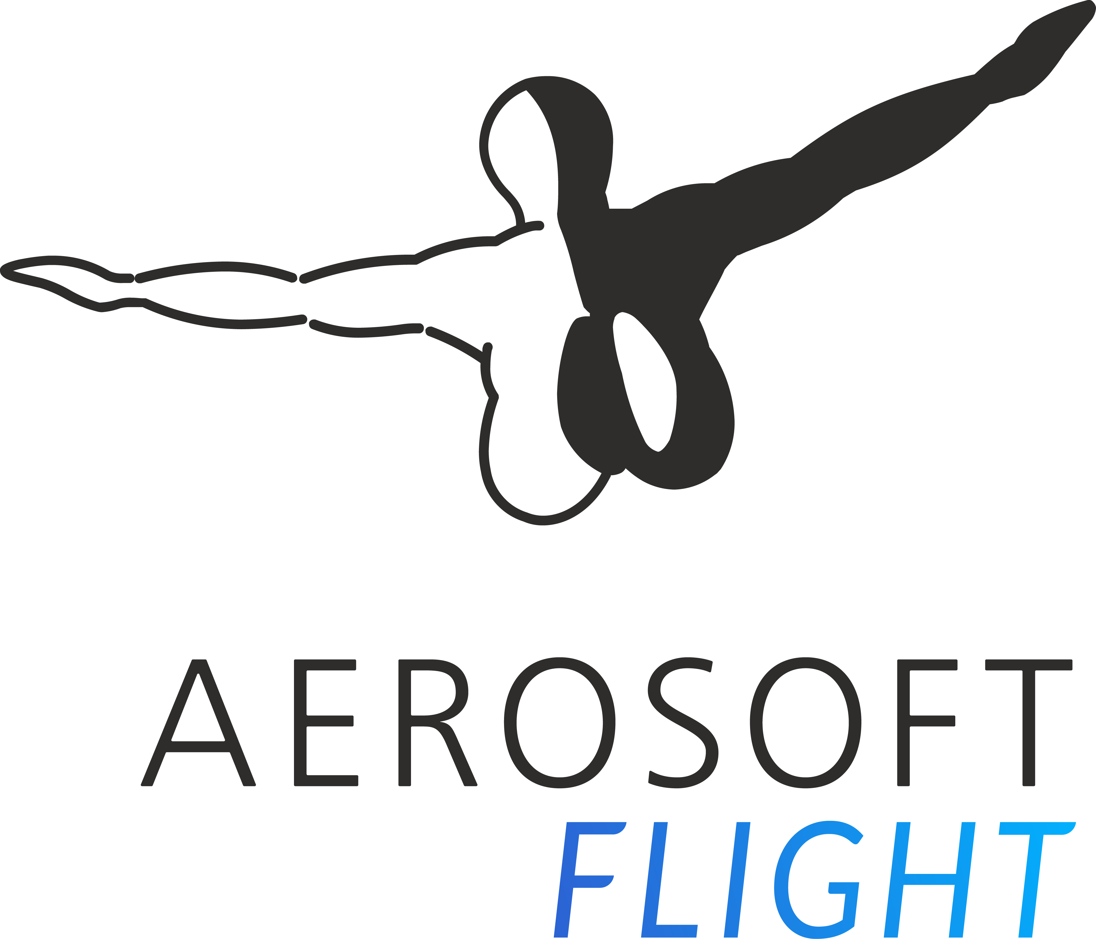 IVAO Virtual Aviation Aerosoft 