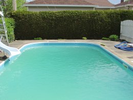 Eau De Piscine Verte Cause Et Traitement Vendee