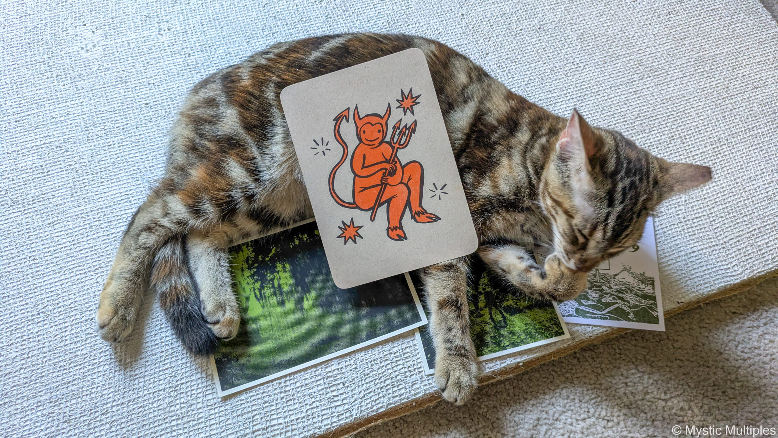 A cat sitting on a pile of art prints, with a card of a tiny orange devil on its belly