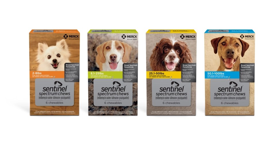 Sentinel spectrum chewables for dogs
