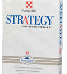 strategy
