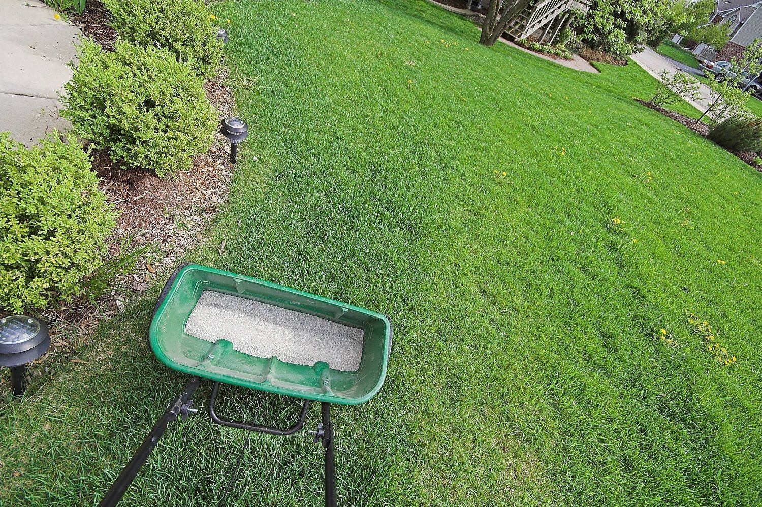 Yard Fertilizer Spreader