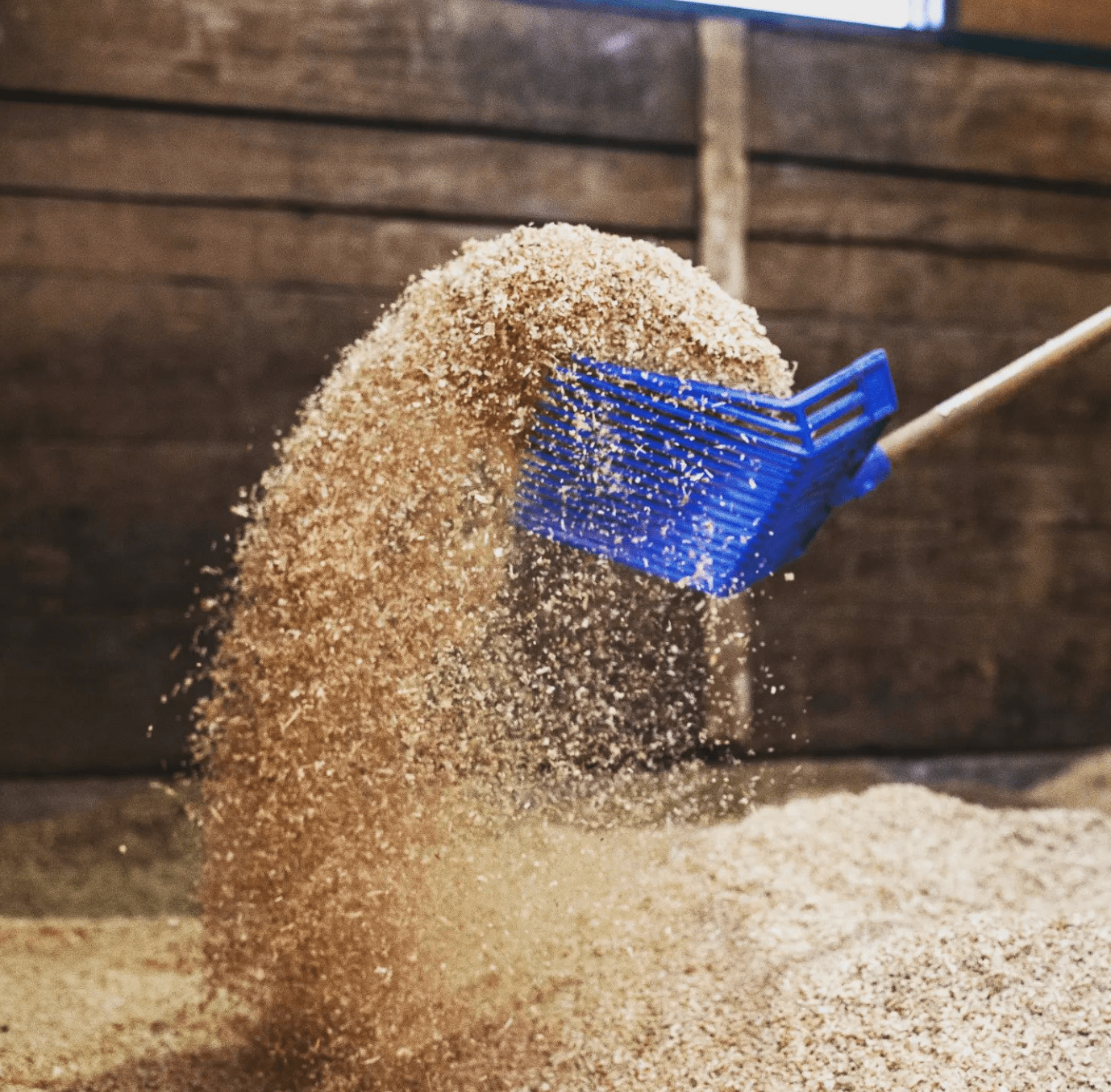 Shavings