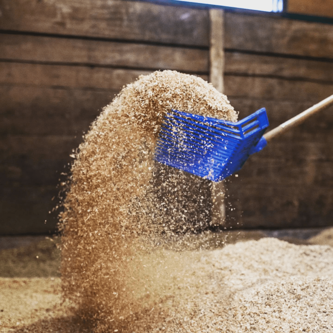 Shavings