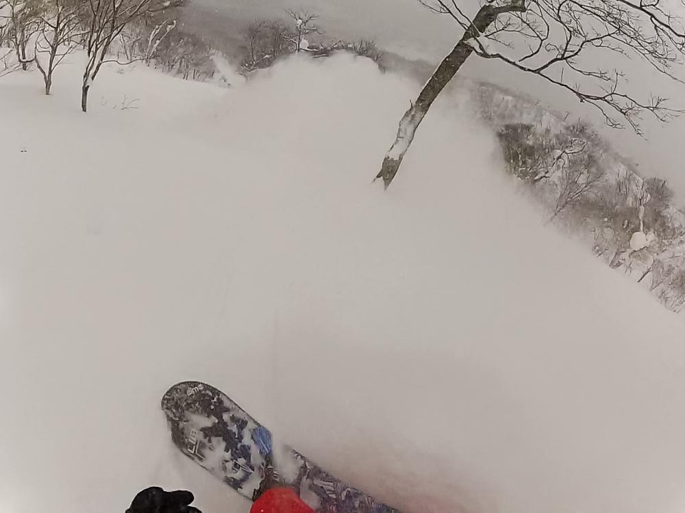 Tim Eddy Slash4