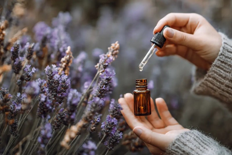 Methods of Using Lavender Essential Oil by Jason Berkes