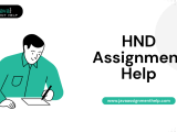 1 Hnd Assignment Help From Experts Get Upto 35 Off