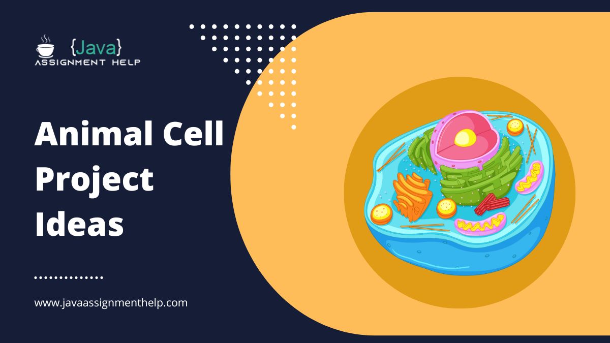 200 trending and creative animal cell project ideas