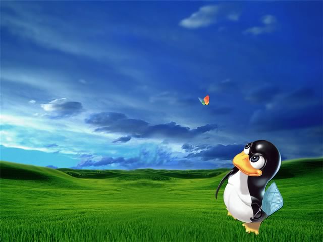 Linux XP