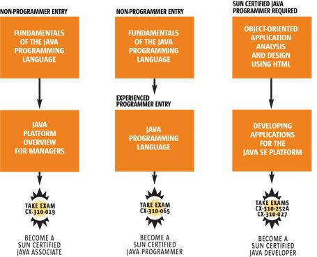 Certificaciones Java Arquitectura Java - Premium Nature Image Gallery - Desktop