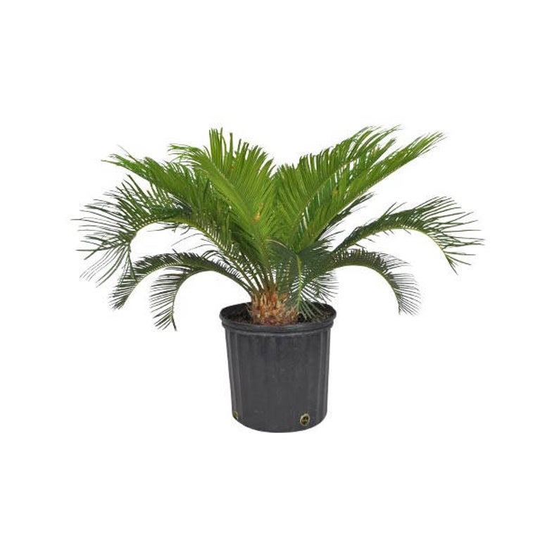 GardenGoodsDirect3