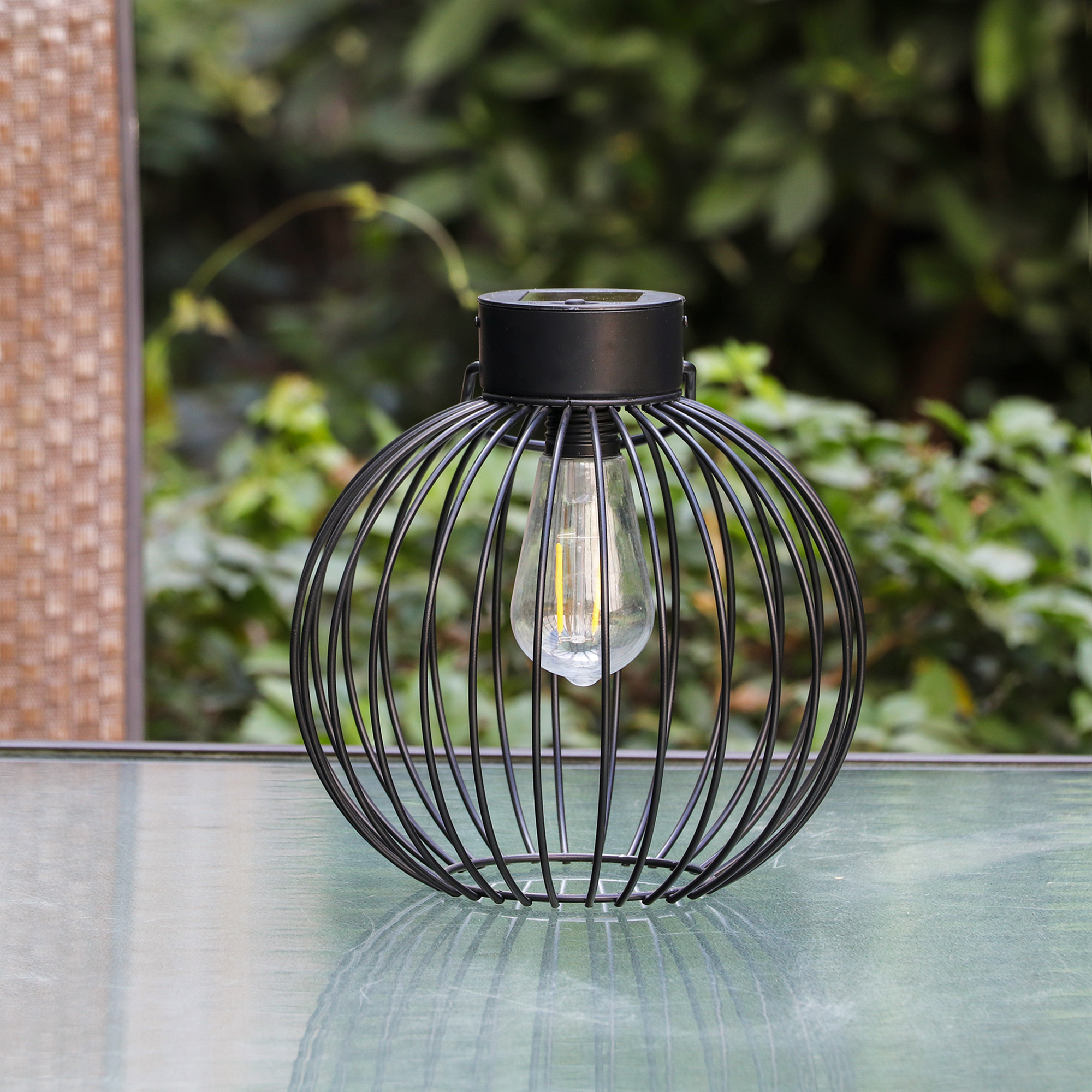 Solar Cage Light 3
