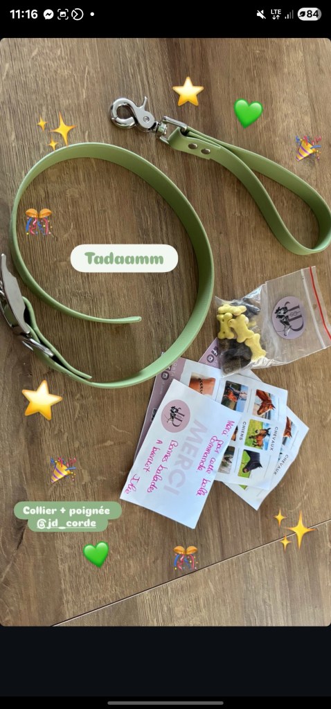 Collier-chien-colis