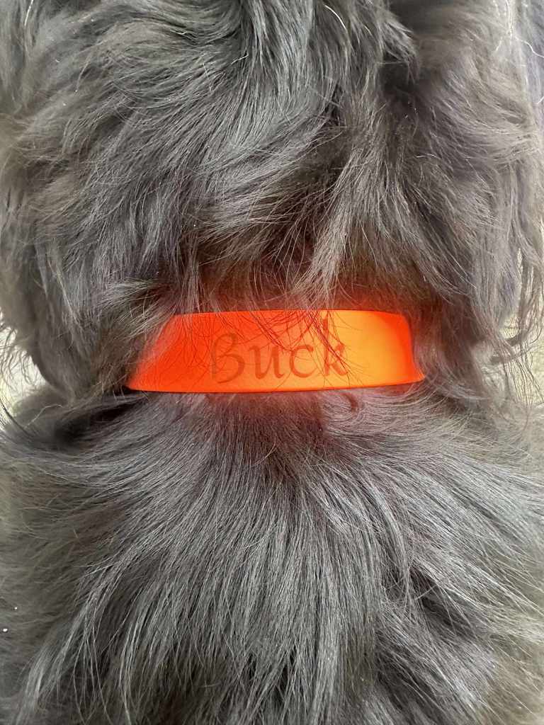 Collier-grave-chien-3