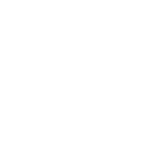 White megaphone icon on a transparent background, perfect for enhancing your digital marketing agency in Hisar.