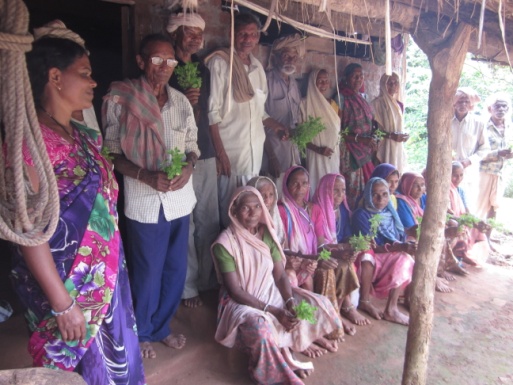 Destribution of Tulsi Plants to MPDB beneficiaries