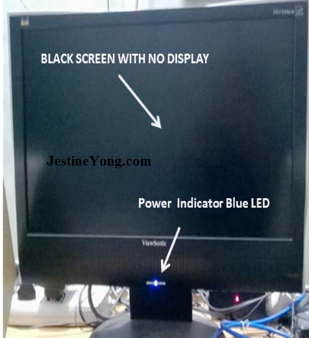 No Display In Viewsonic Lcd Monitor Va1930wm Repaired
