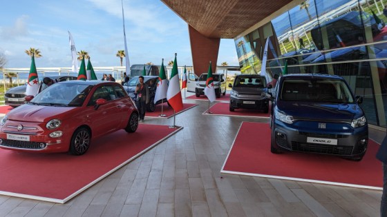 Selon Stellantis: 15 000 commandes de FIAT en deux semaines