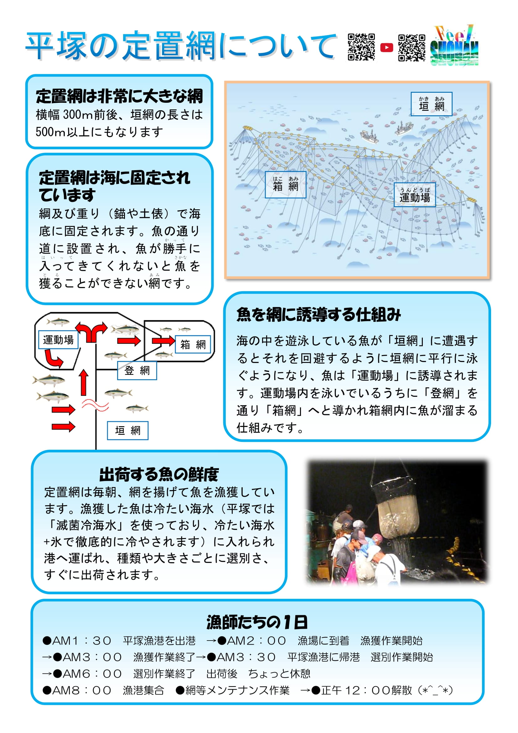 平塚市郷土誌事典 平塚市郷土誌事典(平塚市企画室市史編さん室 編) / はなひ堂