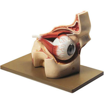 CS2.jpg?resize=150,150&ssl=1