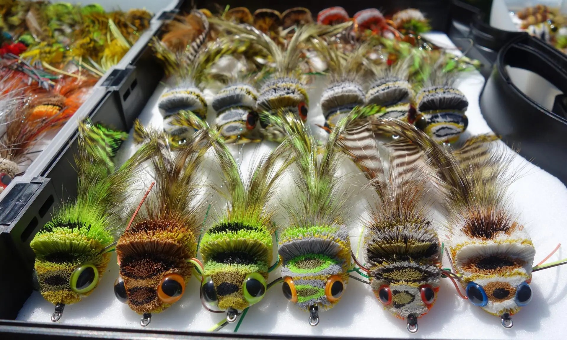 Cover Image of the Post