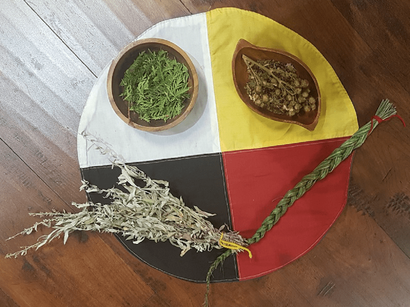 Jmir Wise Practices For Cultural Safety In Electronic