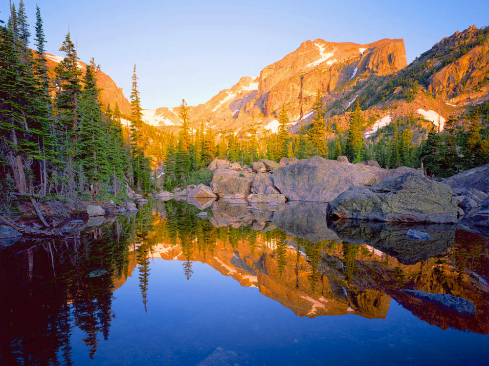 Colorado native trees are naturally adapted to their specific . Image Categories John Fielders Colorado