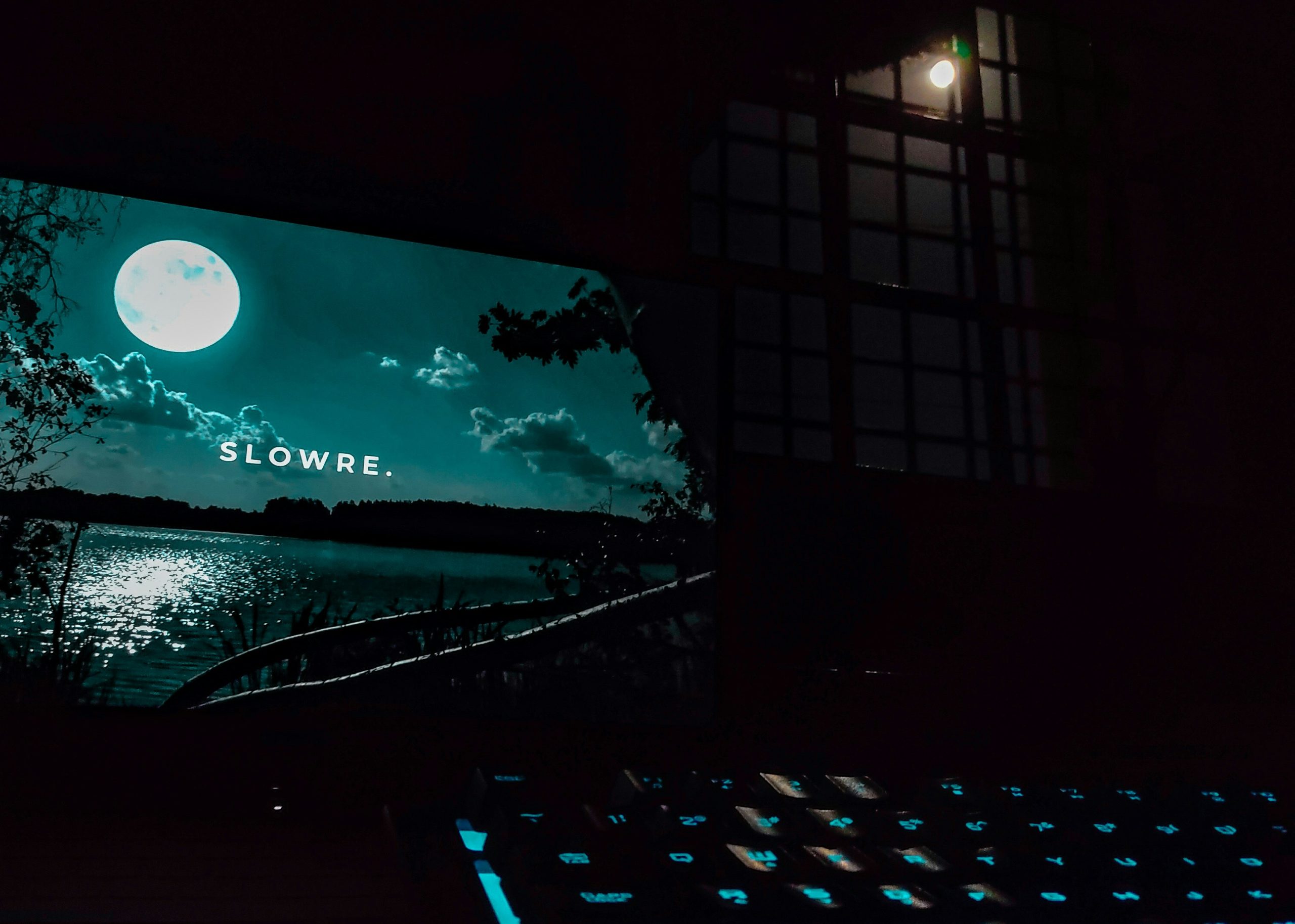 How a Clever Crow Can Teach You to Automate and Grow Your Business