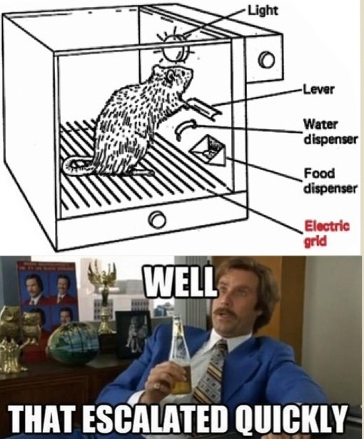 photo Psych Major Psychology Puns psychology jokes