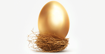 The Golden Egg(s) Nestling in Your Basket by Jonathan Farrington