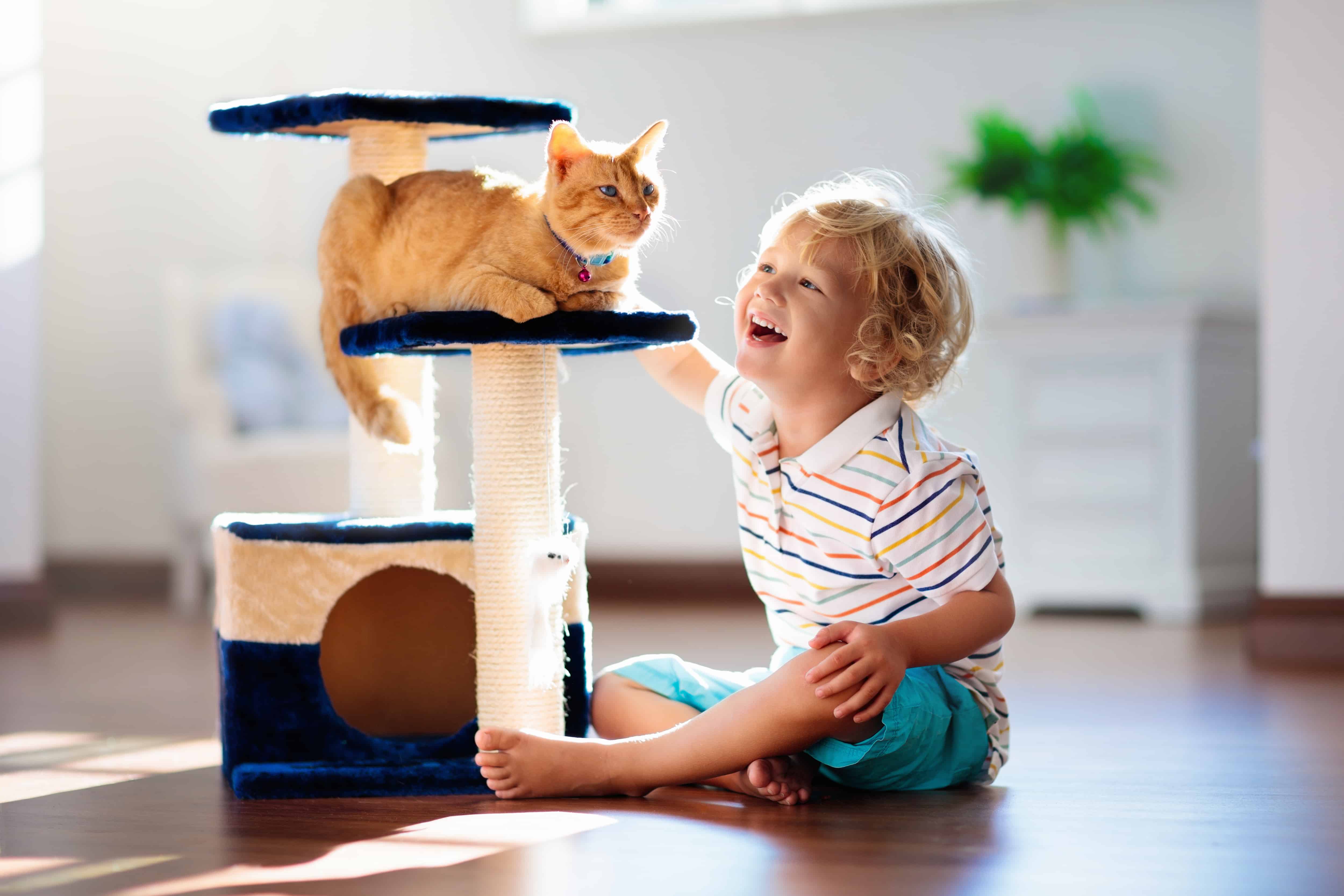 best cat trees 2022