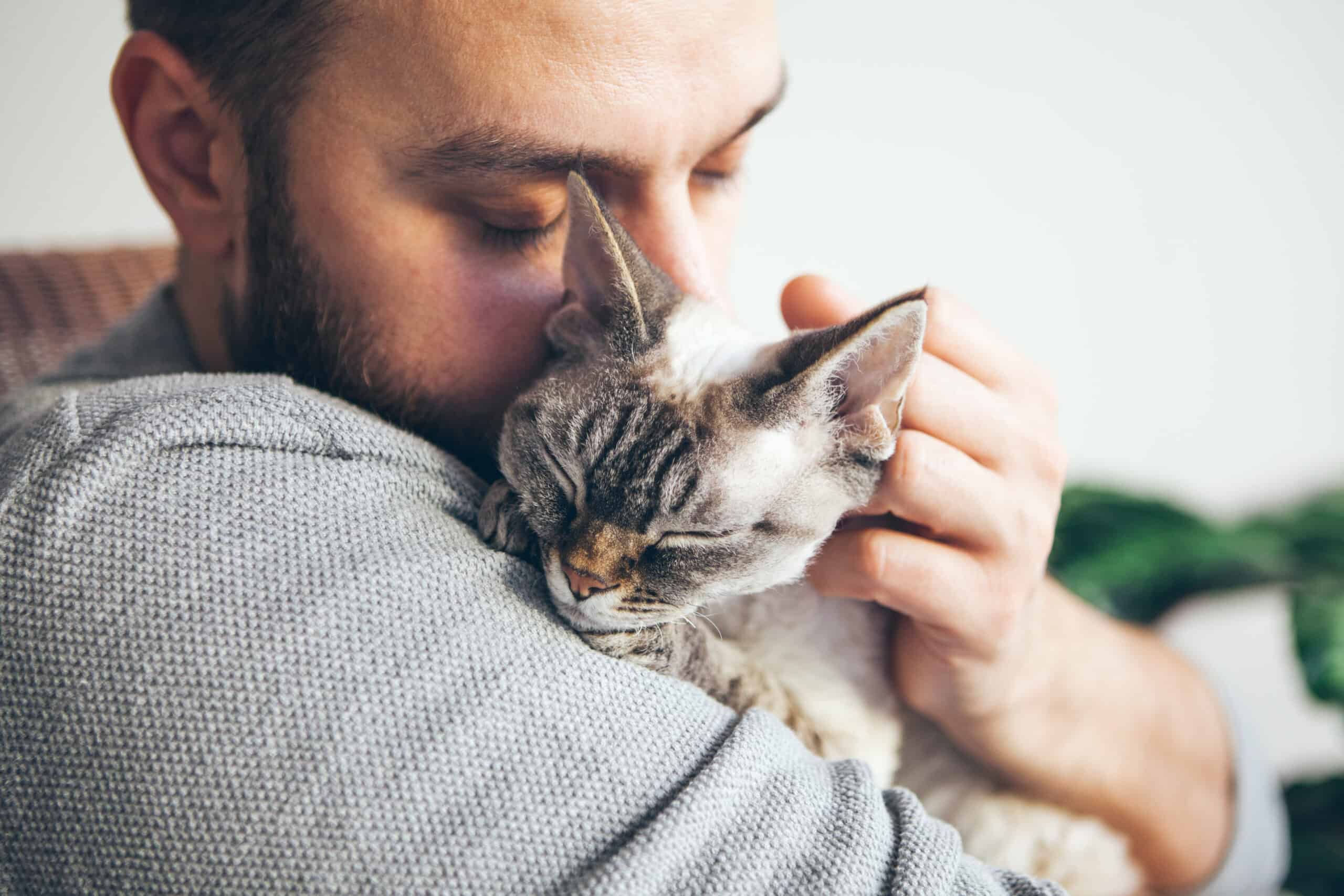probiotics for cats