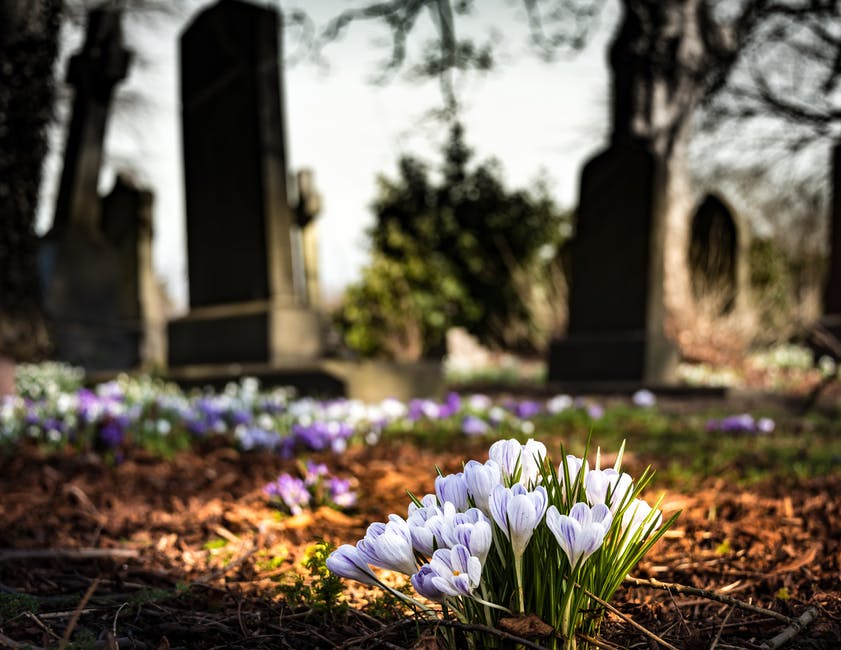grieve
