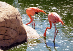 Image Color Up Jquery Plugin Jquery Plugins - Best Minimal Textures in Mobile