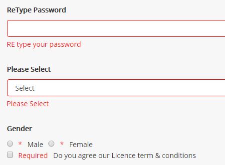 Simple Automatic Form Validation Plugin With Jquery Validify Js - Premium Colorful Design Gallery - Mobile
