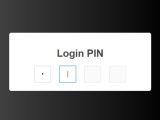Customizable Pin Code Input Plugin For Jquery Pin Js Free Jquery