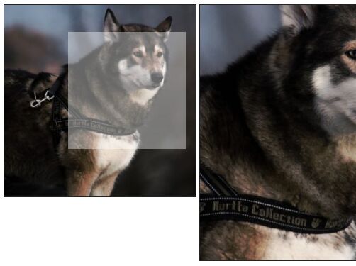 Jquery Zoom Zooms Only One Image On Hover Stack Overflow  Jquery Zoom Zooms Only One Image On Hover Stack Overflow