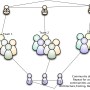 Program Organization with Community of Practice