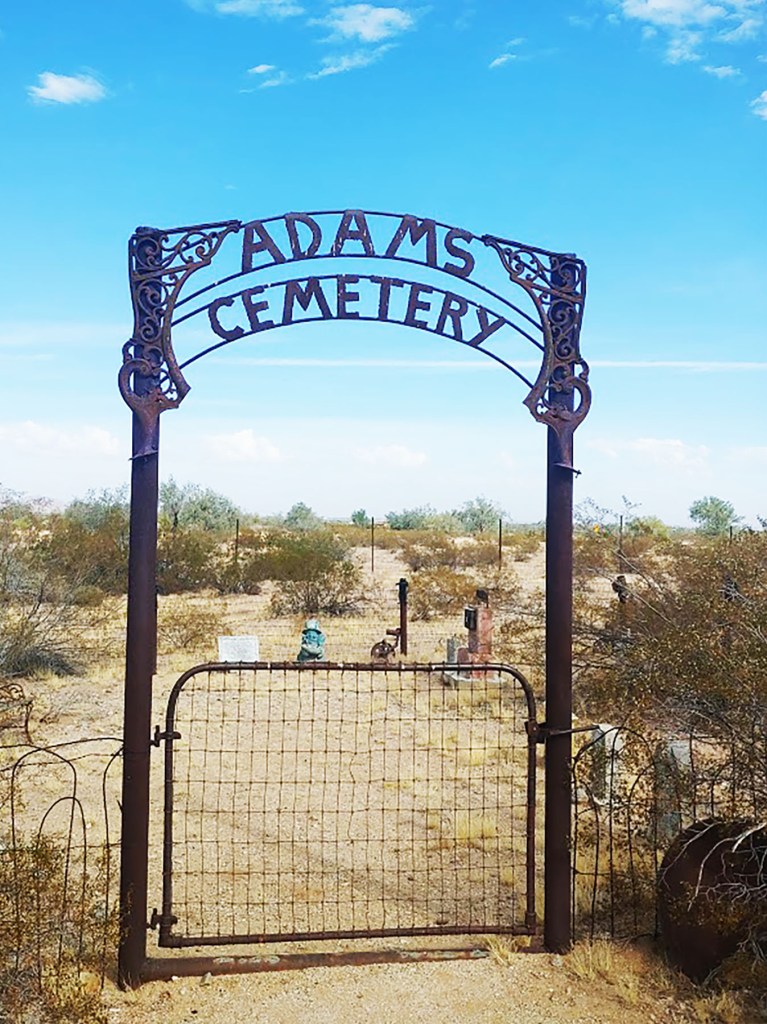 Cemetary for cats