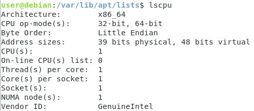 Apt Package Manager On Linux Explained Junos Notes - Best Landscape Wallpapers in HD