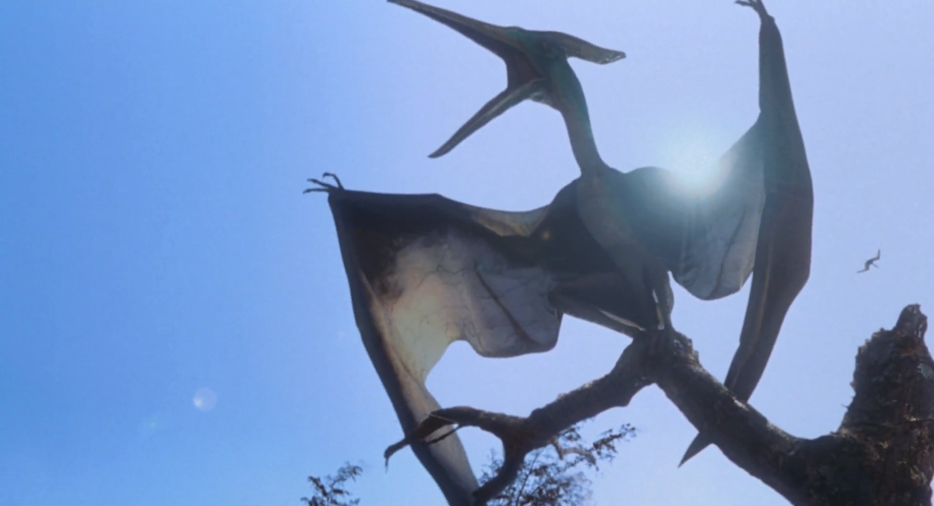 pix Jurassic Park 3 Pteranodon Scene jurassic world universe