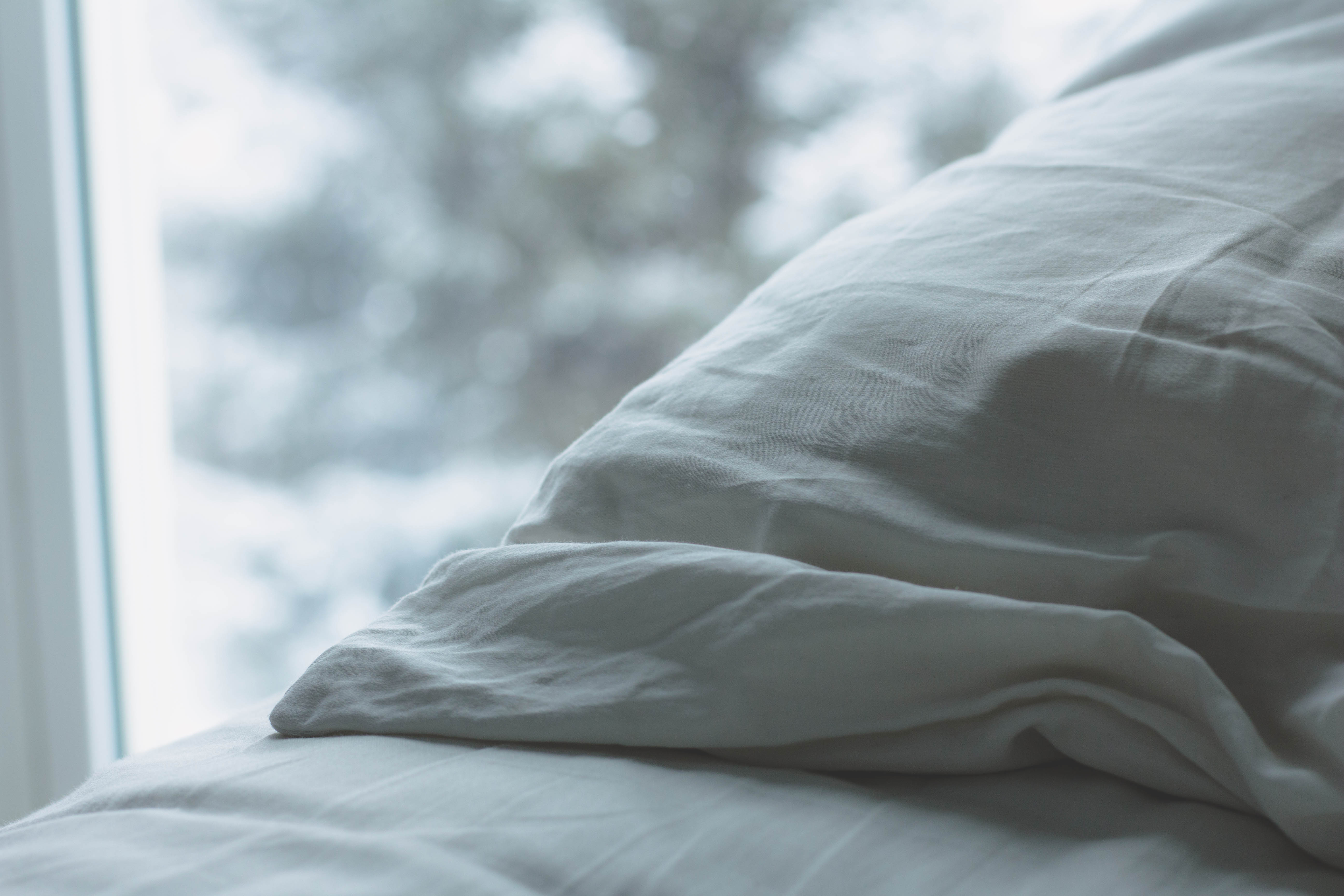 Capturing the Light – A Wintry Afternoon