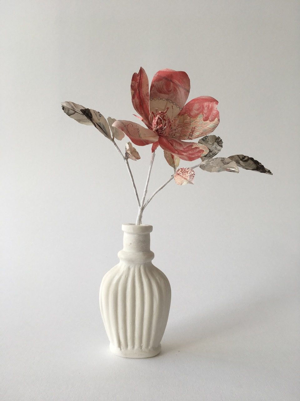 English Rose I