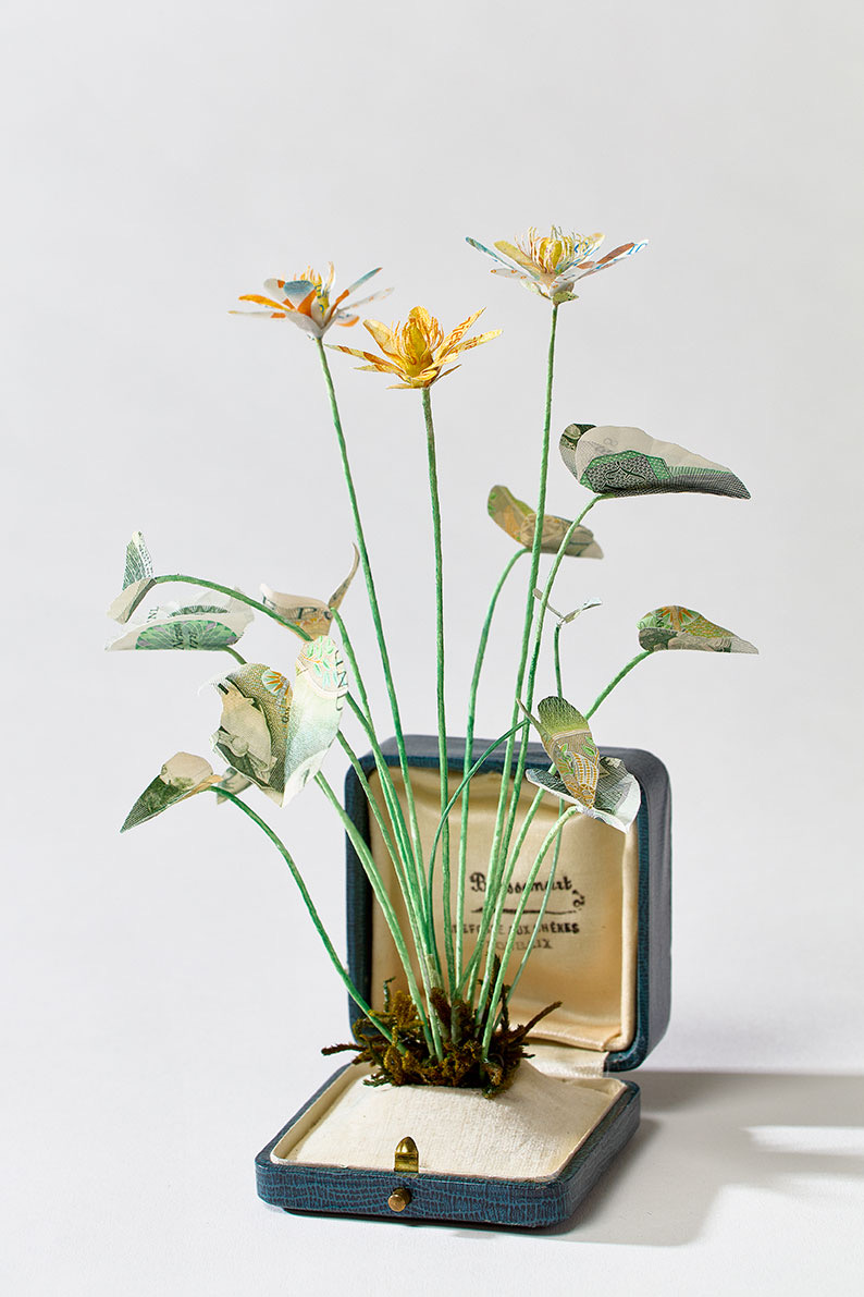 Currency plant sculpture