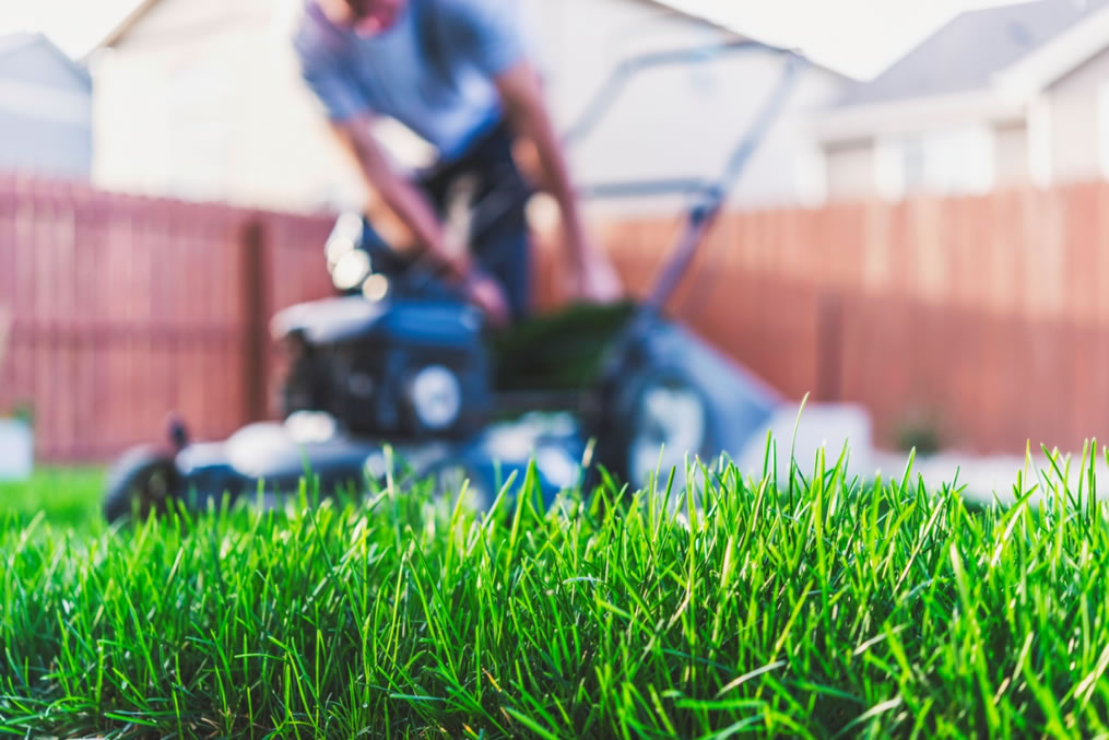 Lawnmower Game 