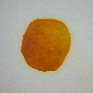 P1090712-ANIMATION.gif