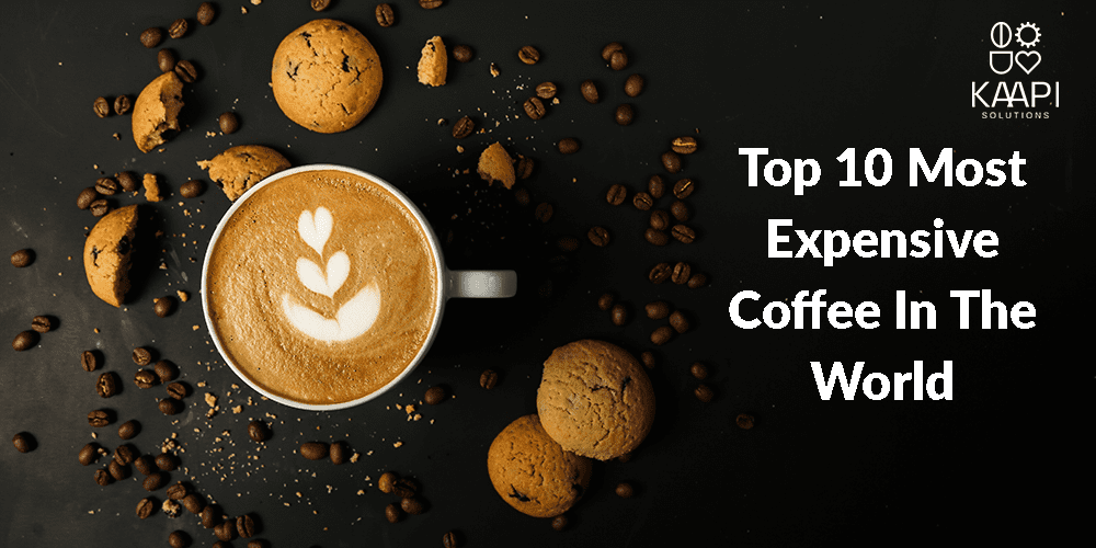 Top 10 Most Expensive Coffee In The World Kaapi Soutions