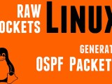 Linux Socket Programming How To Kad