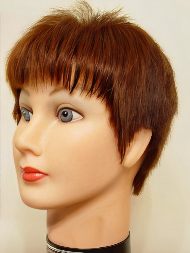 Hoe Een Kort Haarmodel Knippen Of Een Kort Kapsel