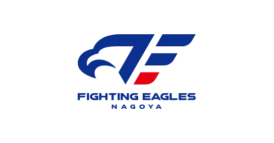 豊通ファイティングイーグルス株式会社